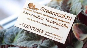 Визитки из дерева.mp4