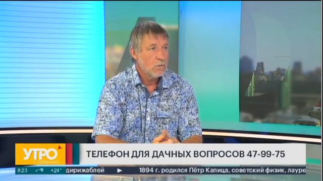 Дача. Почему желтеет чеснок и что с этим делать? Утро с Губернией. 08/07/2022. GuberniaTV смотреть онлайн