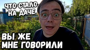 Вы же мне говорили, что стало на даче? Почему я не послушал и что с отмосткой у дома? Дачный влог