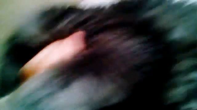 Посмотри на что способны наши пушистые комочки! смотреть онлайн