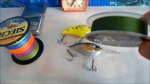 Плетёная леска  с Алиэкспресс.Клёвое место. Радуга для начинающих спиннингистов.