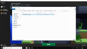 Install Multiple Forge Instances on Minecraft Launcher 1.15.2