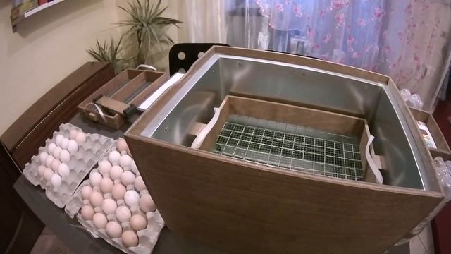 Анонс. Закладка куриных яиц в инкубатор. смотреть онлайн