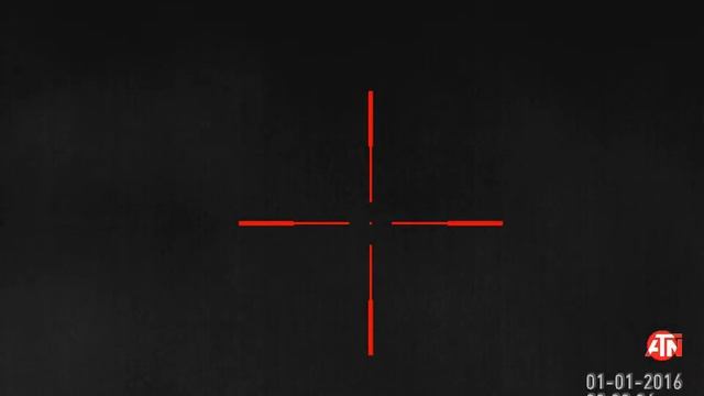 ATN Thor 640HD 50mm killing pigs смотреть онлайн