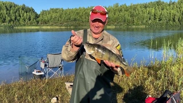 Рекордный Окунь 1.200 грамм!!! Чучело из Окуня своими руками!