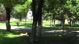 УВВАКУ, 2011 год