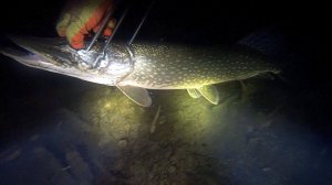 Что таит в своих глубинах, городское озеро,находки под водой