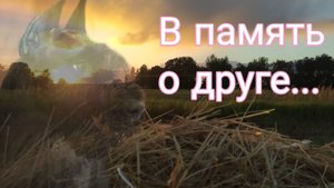 В память о друге....авторская песня на гитаре.