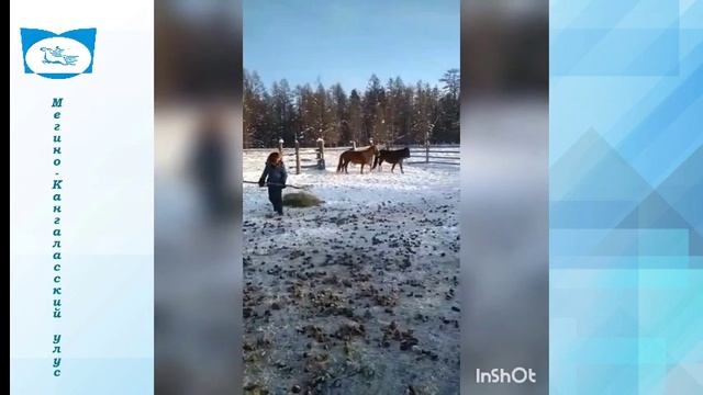 Мегино Кангаласский улус смотреть онлайн