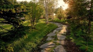 Пошаговые и модульные дорожки. Их варианты. Как, что, из чего?