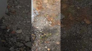 не выключаются габаритные огни Газель Бизнес