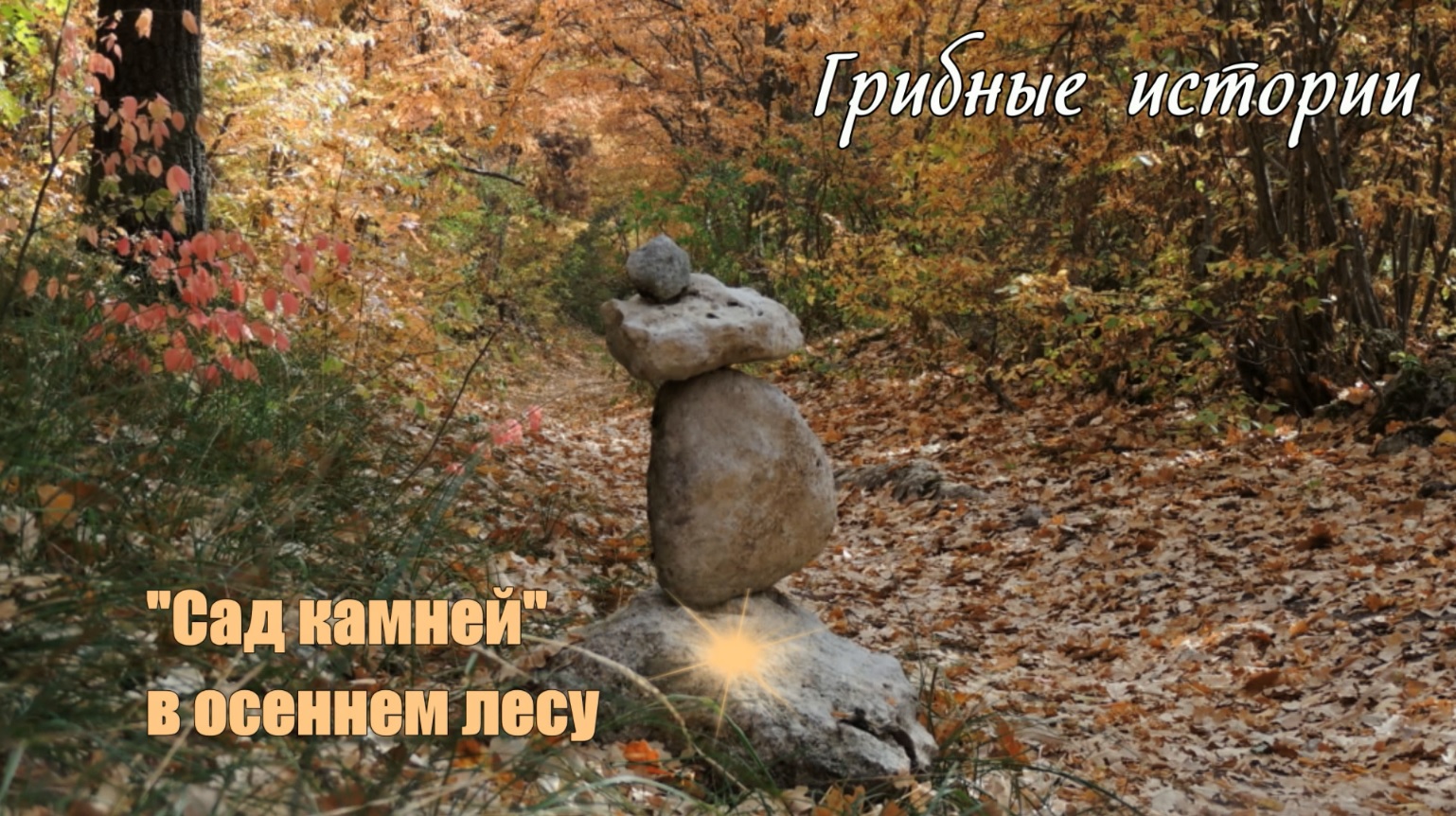 "Сад камней" в осеннем лесу