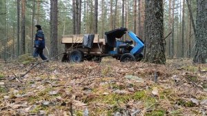 Валежник, заготовка дров.