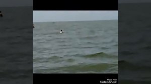 Оймур, отдых на Байкале