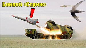 Беспилотник Ту-141 Стриж - что за «птица»?