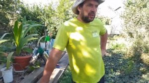 Клещ варроа. Бипин. Обработка пчел дым пушкой.