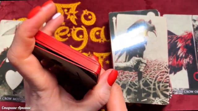 Обзор Murder Of Crows Tarot