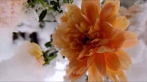 Елена Савельева - Обычный зимний день