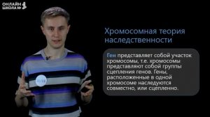 Урок 26. Хромосомная теория наследственности. Биология 10 класс