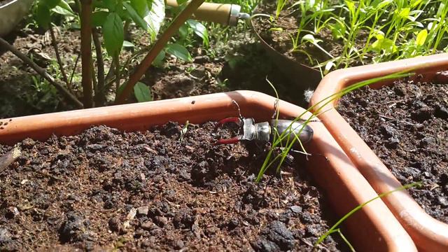 ЖУК-ОЛЕНЬ смотреть онлайн