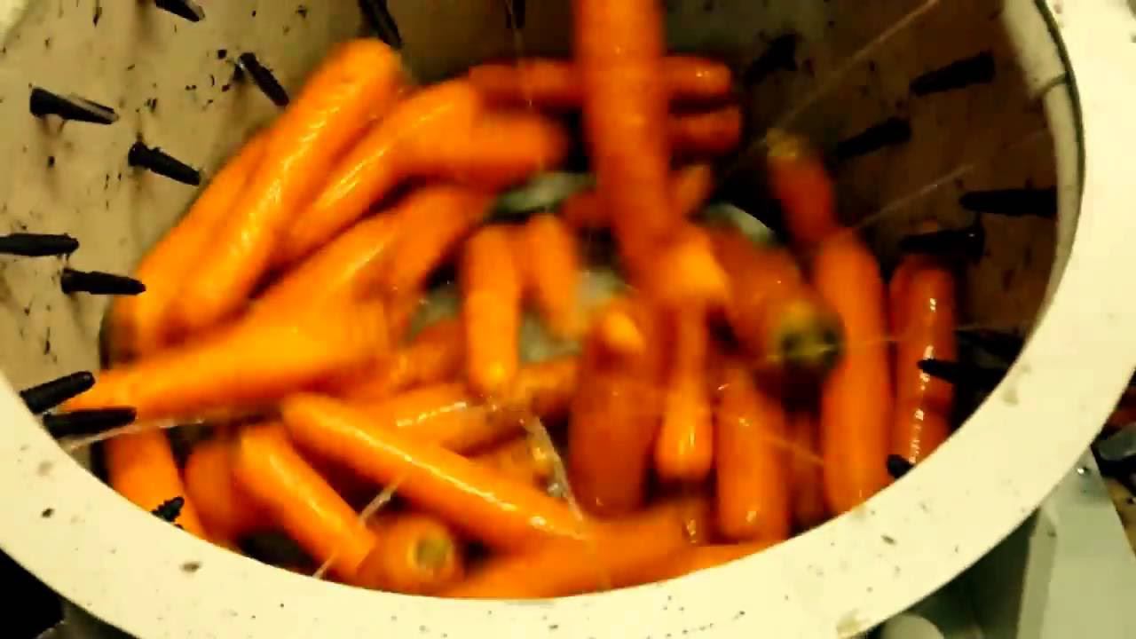 Машина мойки овощей от РостПищМаш
