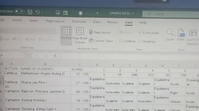EXCEL HACKS FOR TEACHERS|TEACHER JANEELI