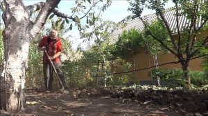 Обкапываю кусты, деревья лопатой и вилами, что бы не повредить корни.