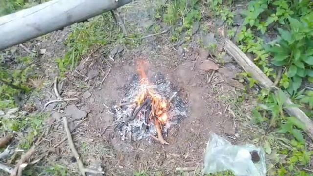 #свободушаману #демонуходи [обряд №48] Лес
