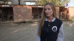 Новости. Сургут 24. 19.09.2023