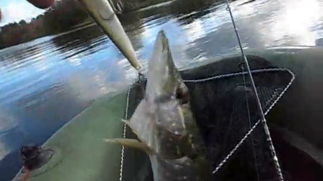 Щербинки 1 смотреть онлайн