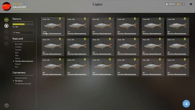 Русская рыбалка 4(рр4/rf4) - река Вьюнок. Густера. смотреть онлайн