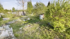 КУПИЛИ ДАЧУ. Что нас ждало после покупки. Сделаем конфетку?