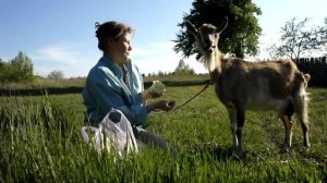 Коза и капуста