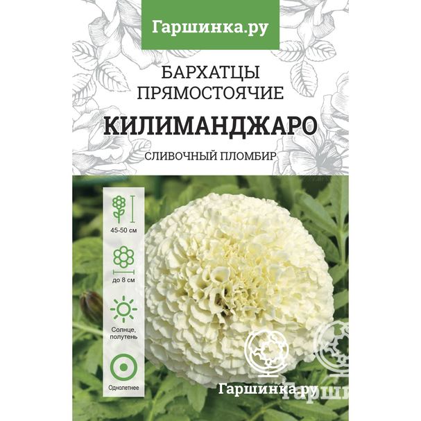 Посев бархатцев килиманджаро от Гаршинка от посева до всходов.