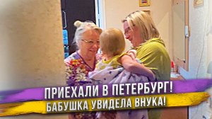 Крым - Петербург на авто с ребенком! Часть 3:   Встреча с бабушкой. Картины наших собак. Наш район.