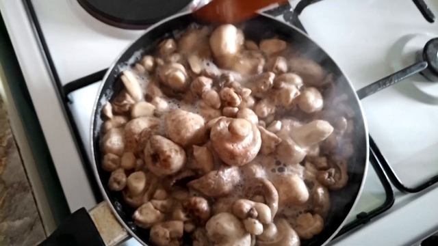 шампиньоны смотреть онлайн