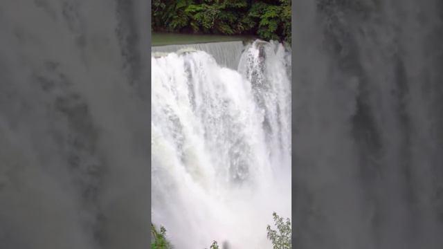 Meditation Music for Positive Energy - Buddhist Meditation Music l Relax Mind Body #relaxingmusic смотреть онлайн