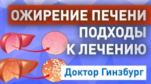 Жировой гепатоз (ожирение печени). Основные причины и подходы к лечению без лекарств