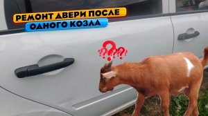 Небольшой ремонт и окрас задней двери после одного козла.  Лада Гранта.