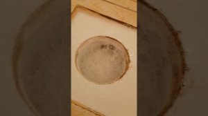 устраняем неприятный запах в душевой!