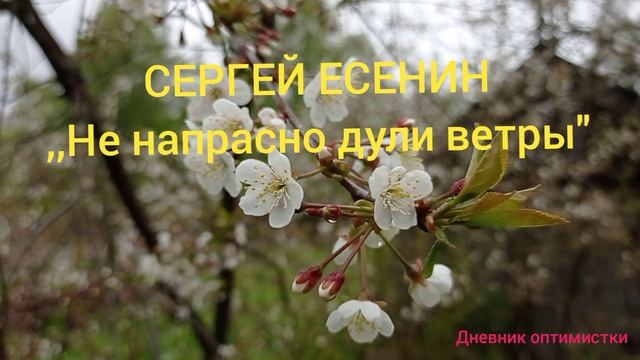Сергей Есенин  ,,Не напрасно дули ветры"