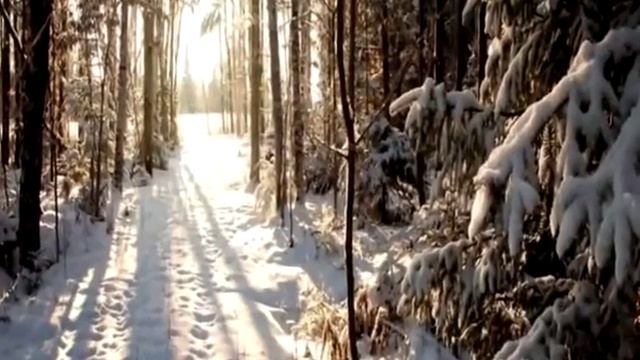 ЧАРОДЕЙКОЮ ЗИМОЮ,запись 31 смотреть онлайн