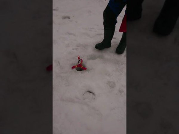 Паста жёлтый сыр