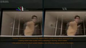 IPS VS VA