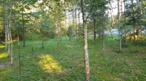 Изгнание Демонов, Бесов и прочих сущностей