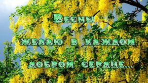 Весны желаю в каждом добром сердце*