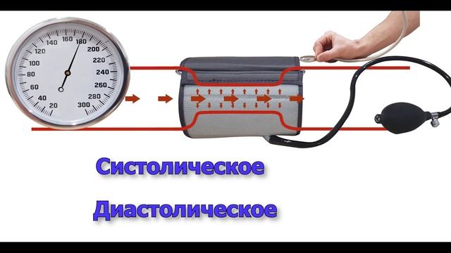 Что означает верхнее и нижнее давление? Кровяное давление.
