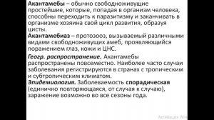 Виды почвенных  амеб. Неглерия и Акантомеба (Naegleria fowleri et Acanthamoeba castellani)