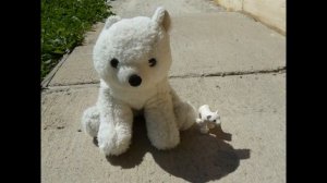 Песня про белого медвежонка для детей.