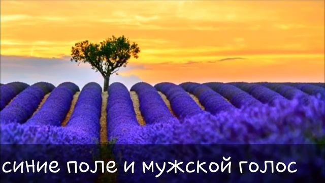 Как начинается сон? смотреть онлайн